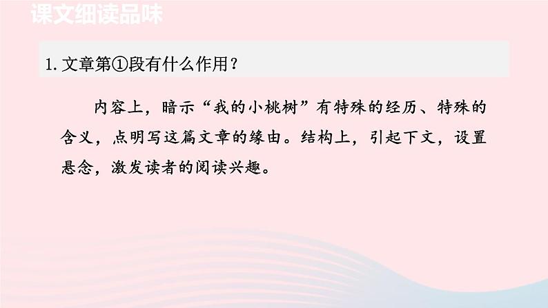 2024春七年级语文下册第5单元19一棵小桃树第2课时教学课件(部编版)第2页
