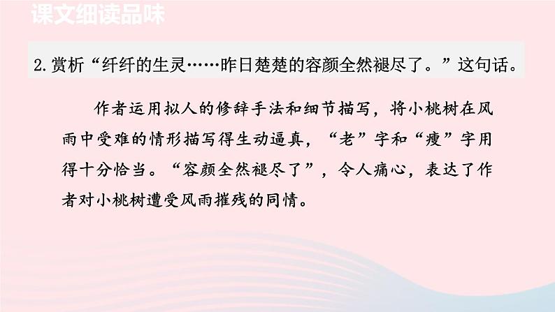2024春七年级语文下册第5单元19一棵小桃树第2课时教学课件(部编版)第3页