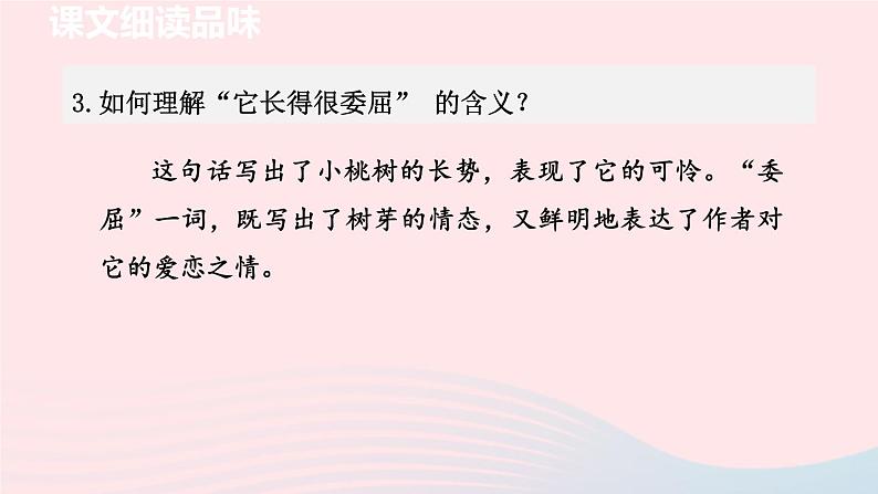 2024春七年级语文下册第5单元19一棵小桃树第2课时教学课件(部编版)第4页