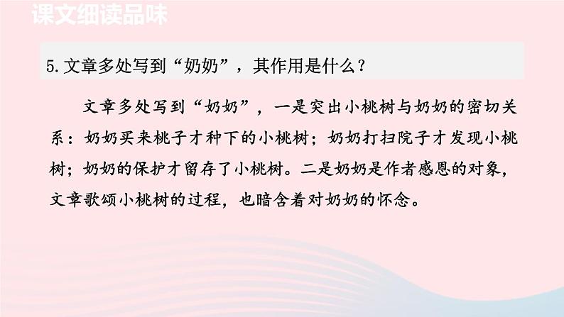 2024春七年级语文下册第5单元19一棵小桃树第2课时教学课件(部编版)第6页