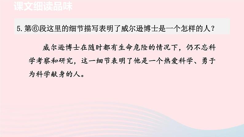 2024春七年级语文下册第6单元22伟大的悲剧第2课时教学课件(部编版)06