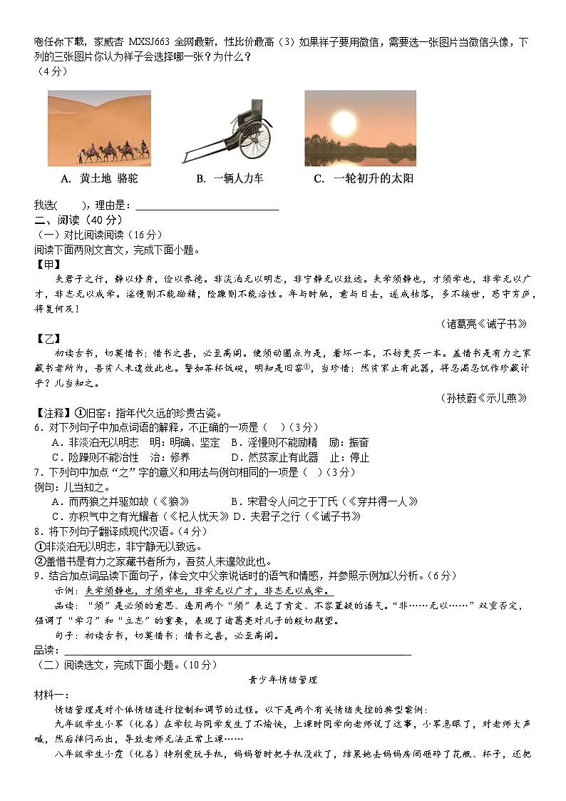 广东省湛江市雷州市第二中学2023-2024学年七年级下学期开学考试语文试题(1)02