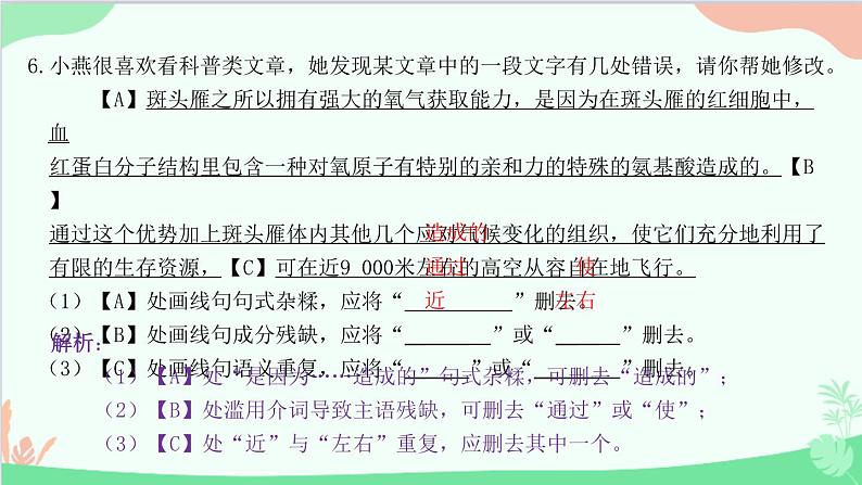 统编版语文八年级下册 7 大雁归来课件第7页