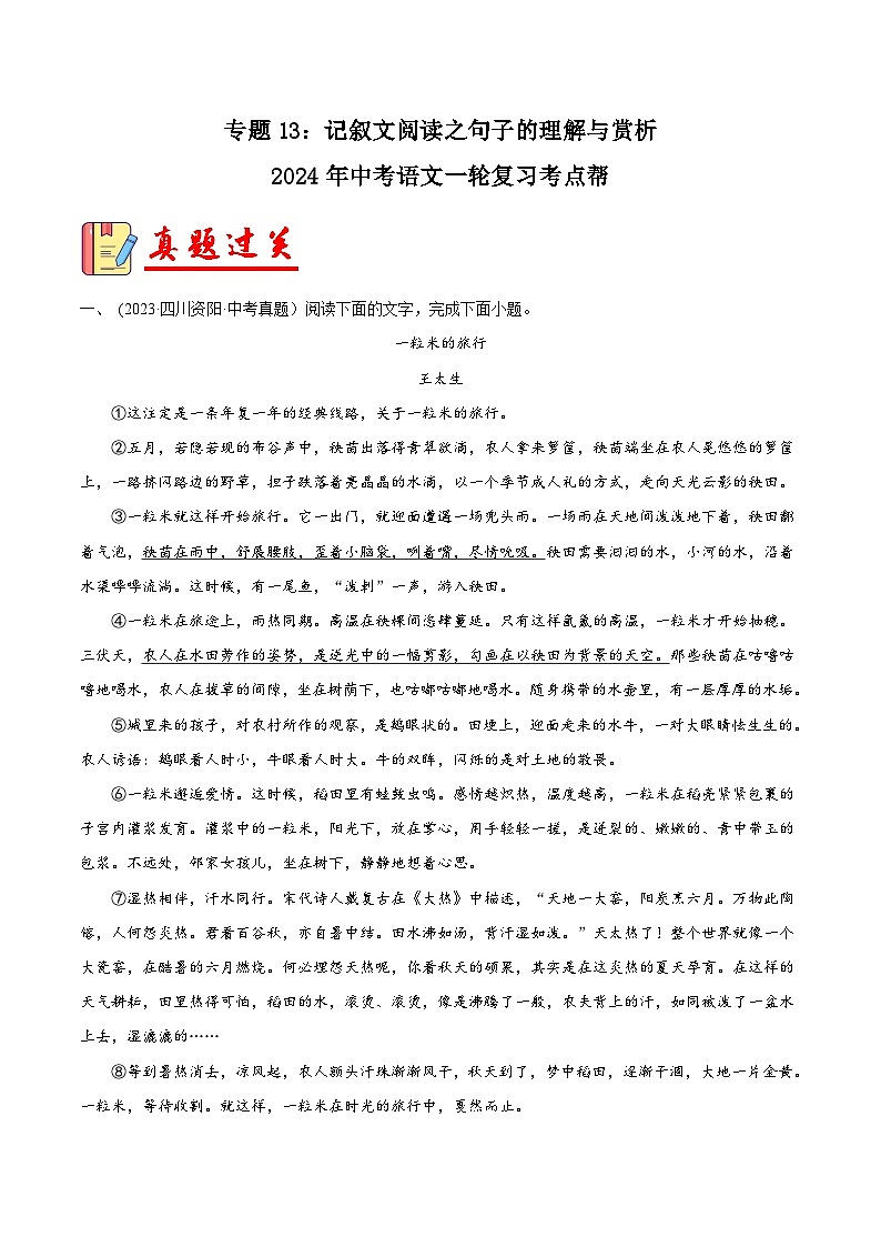 2024年中考语文第一轮考点复习(全国通用) 专题13:记叙文阅读之句子的理解与赏析【习题精练】 (原卷版+解析)第1页