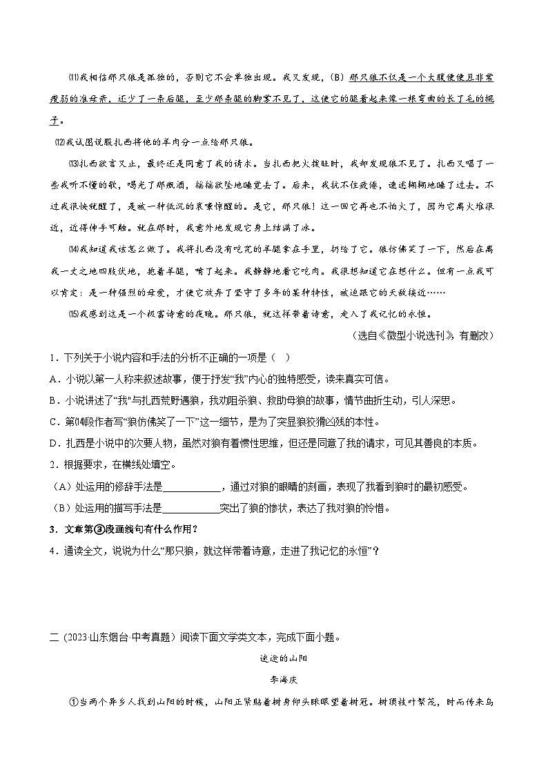 2024年中考语文第一轮考点复习(全国通用) 专题14:记叙文阅读之句段的作用【习题精练】 (原卷版+解析)第2页
