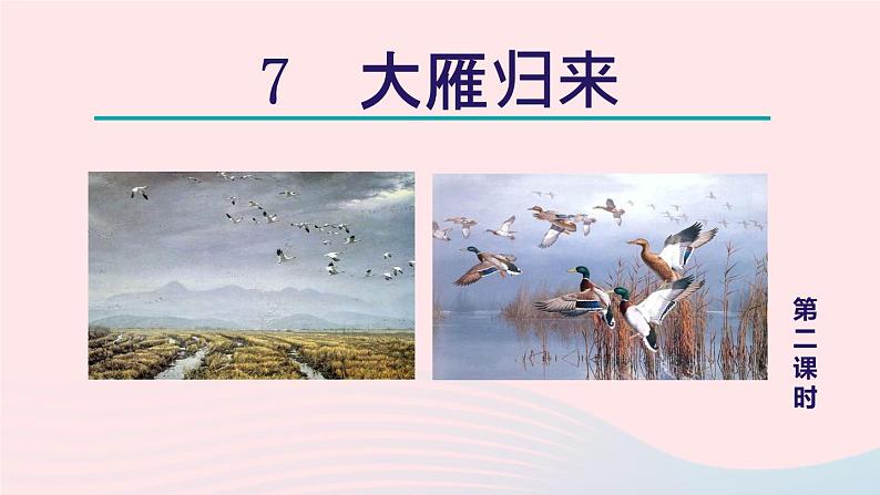 2024春八年级语文下册第2单元7大雁归来第2课时教学课件(部编版)第1页