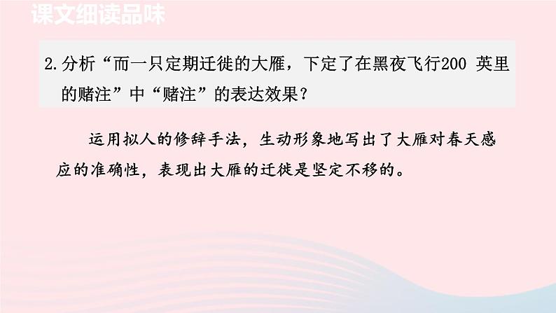 2024春八年级语文下册第2单元7大雁归来第2课时教学课件(部编版)第3页
