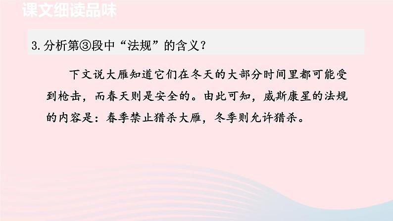 2024春八年级语文下册第2单元7大雁归来第2课时教学课件(部编版)第4页