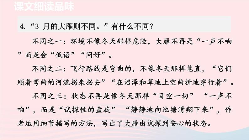 2024春八年级语文下册第2单元7大雁归来第2课时教学课件(部编版)第5页