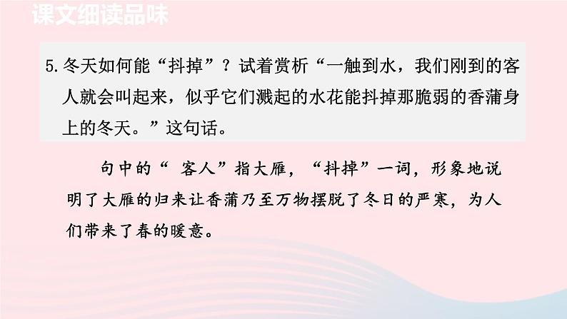 2024春八年级语文下册第2单元7大雁归来第2课时教学课件(部编版)第6页