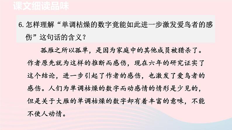 2024春八年级语文下册第2单元7大雁归来第2课时教学课件(部编版)第7页