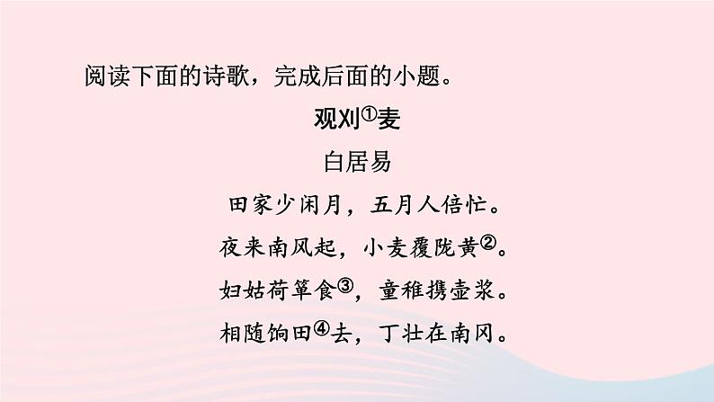 2024春八年级语文下册第6单元阅读专项训练课件(部编版)第3页