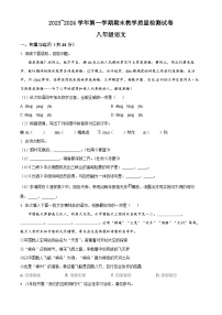河南省洛阳市新安县2023-2024学年八年级上学期期末语文试题（原卷版+解析版）