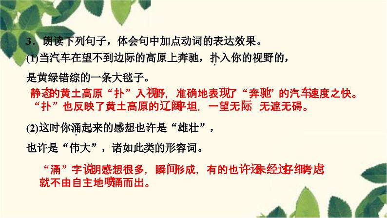 15 白杨礼赞第5页