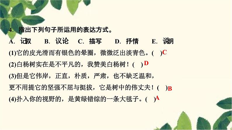 15 白杨礼赞第6页