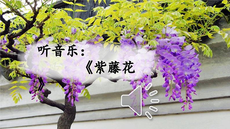 统编版语文七年级下册 18 紫藤萝瀑布 课件01