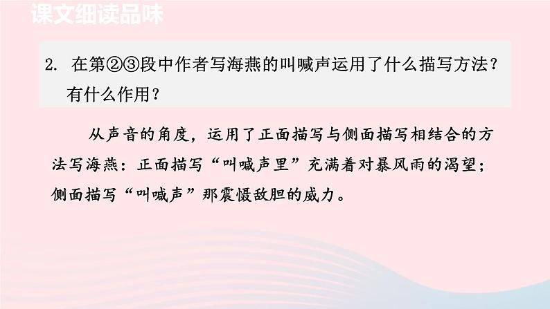2024春九年级语文下册第1单元4海燕第2课时教学课件(部编版)第3页