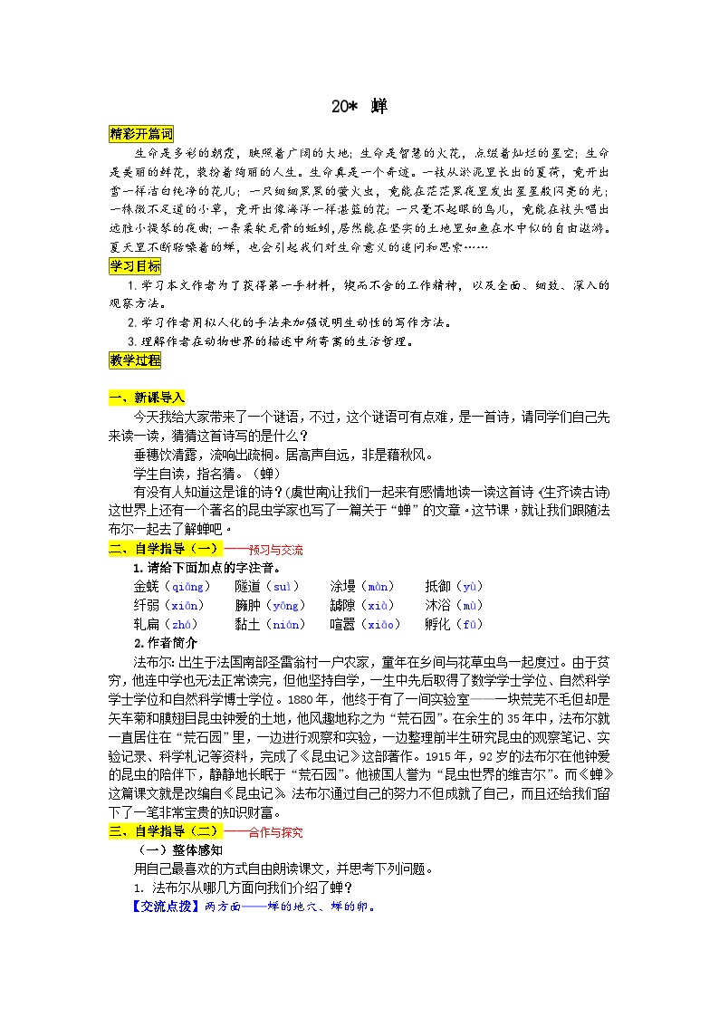 初中语文人教部编版八年级上册蝉学案