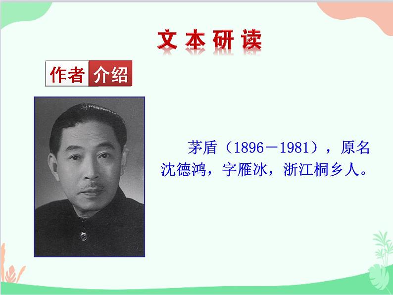 统编版语文八年级上册 15 白杨礼赞课件08