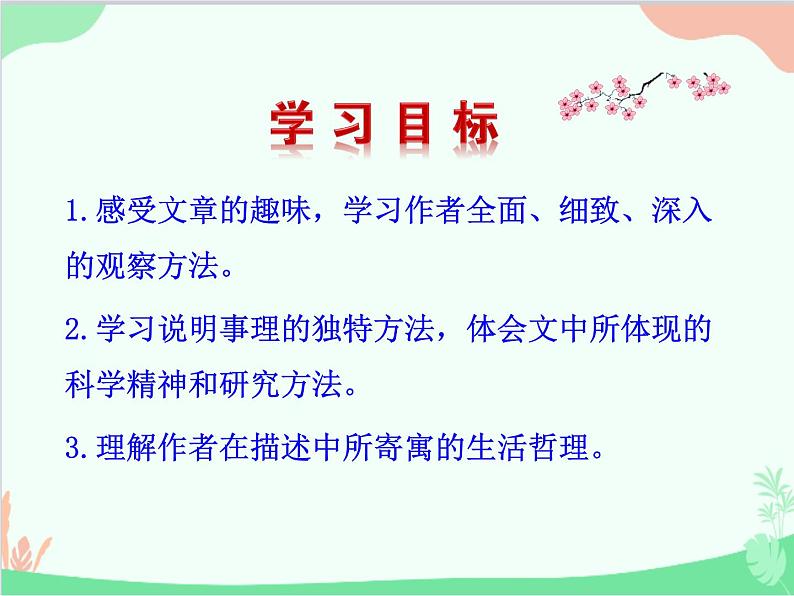 统编版语文八年级上册 20 蝉课件05