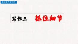 第三单元写作 抓住细节（作文指导）（课件）七年级下册语文2023-2024学年 部编版