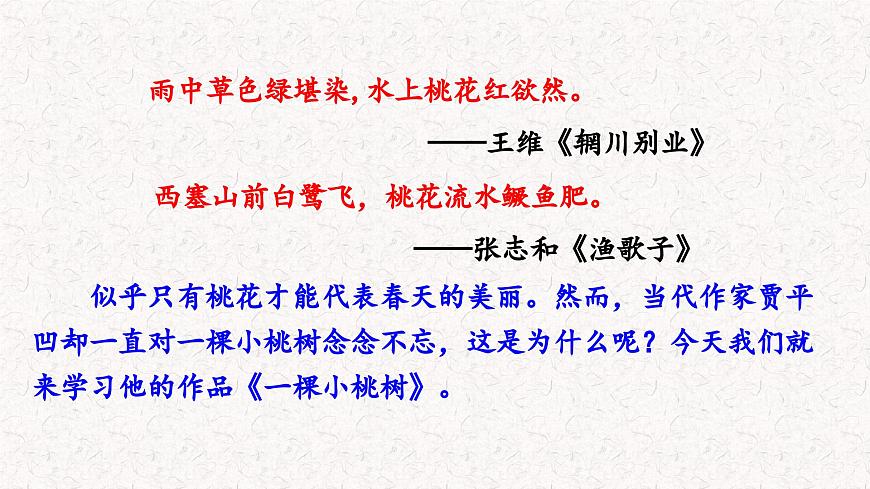 19 一顆小桃樹(課件)七年級下冊語文2023-2024學(xué)年 部編版第1頁