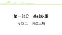 2024年中考语文复习课件---专题二 词语运用