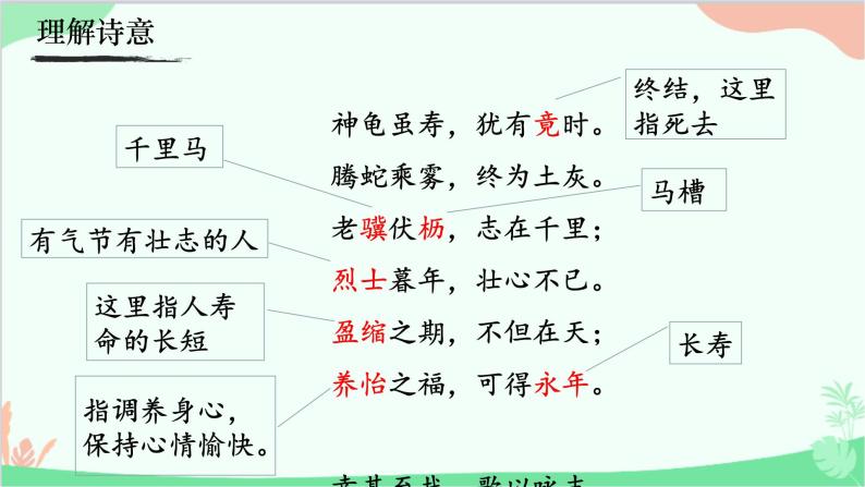 统编版语文八年级上册 《龟虽寿》课件05