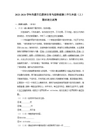 2023-2024学年内蒙古巴彦淖尔市乌拉特前旗三中九年级（上）期末语文试卷
