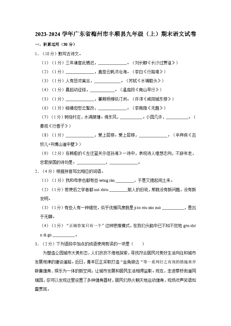 2023-2024学年广东省梅州市丰顺县九年级(上)期末语文试卷01