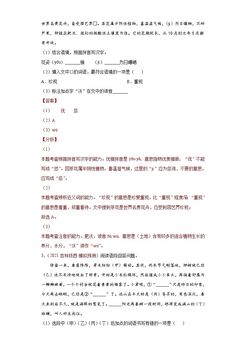 中考语文考点一遍过 考点03 语言运用之综合运用(教师版)第3页