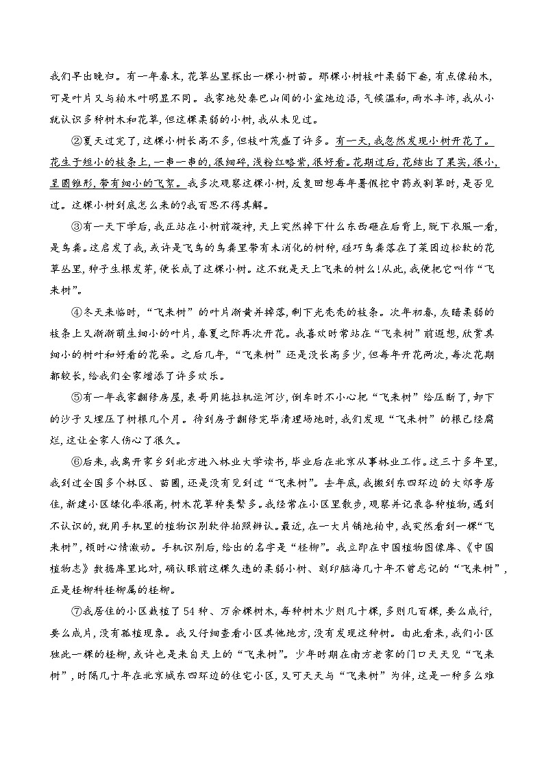 【核心素养】部编版语文七下第19课《一颗小桃树》课件+教学设计+分层练习02