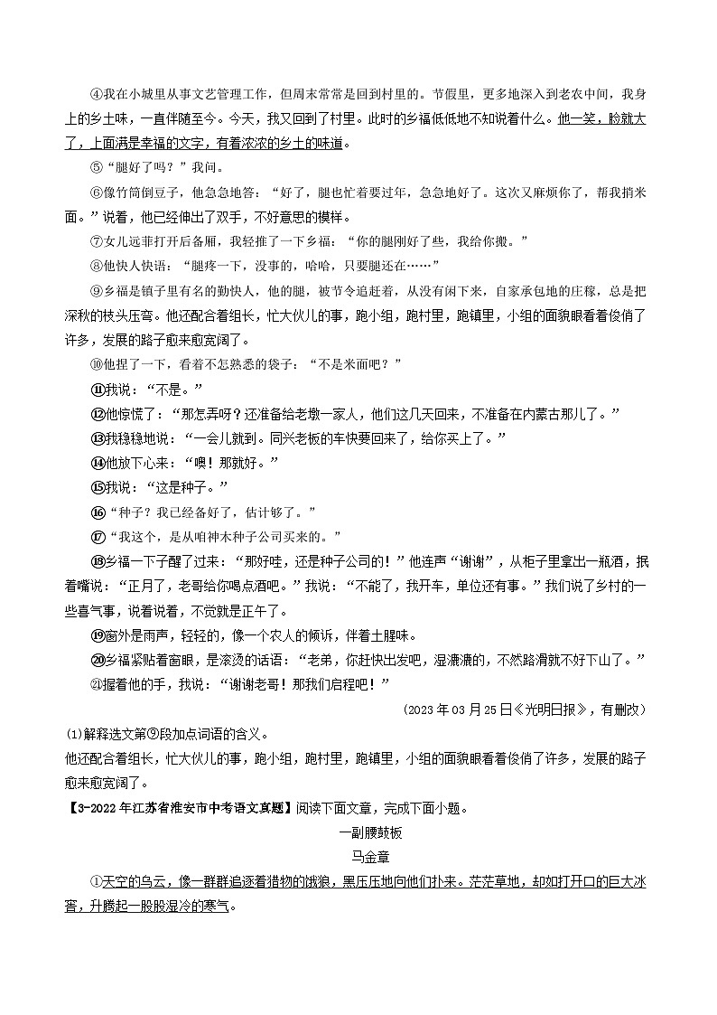 2024年中考语文考前抓大分技法之小说阅读专题07小说词语含义(原卷版+解析)第3页