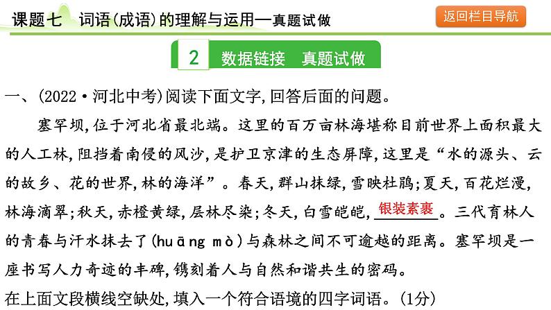 9.课题七 词语(成语)的理解与运用课件---2024年中考语文一轮复习第6页