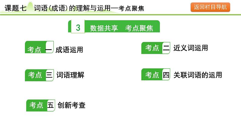 9.课题七 词语(成语)的理解与运用课件---2024年中考语文一轮复习第8页