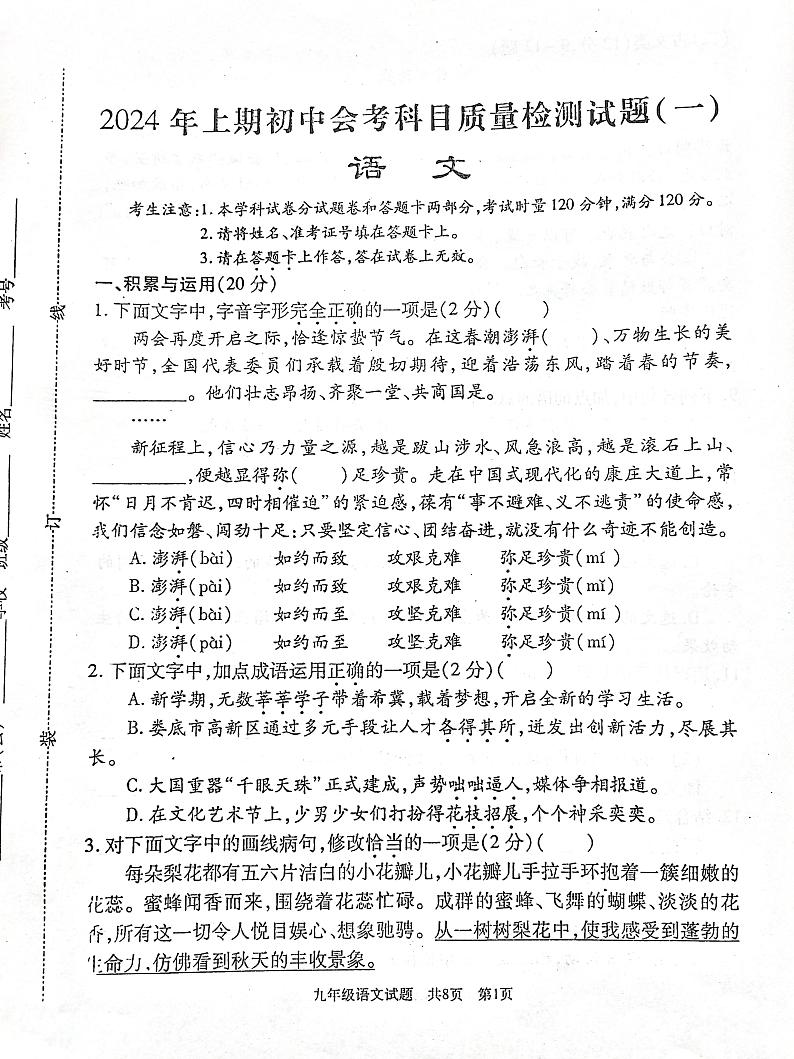 2024年湖南省娄底市涟源市中考一模语文试题第1页