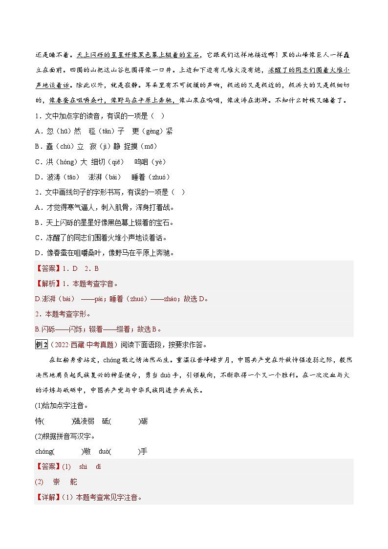 专题01 汉字(字音、字形)-2023年中考总复习真题探究与变式训练(全国通用)(原卷版)第2页
