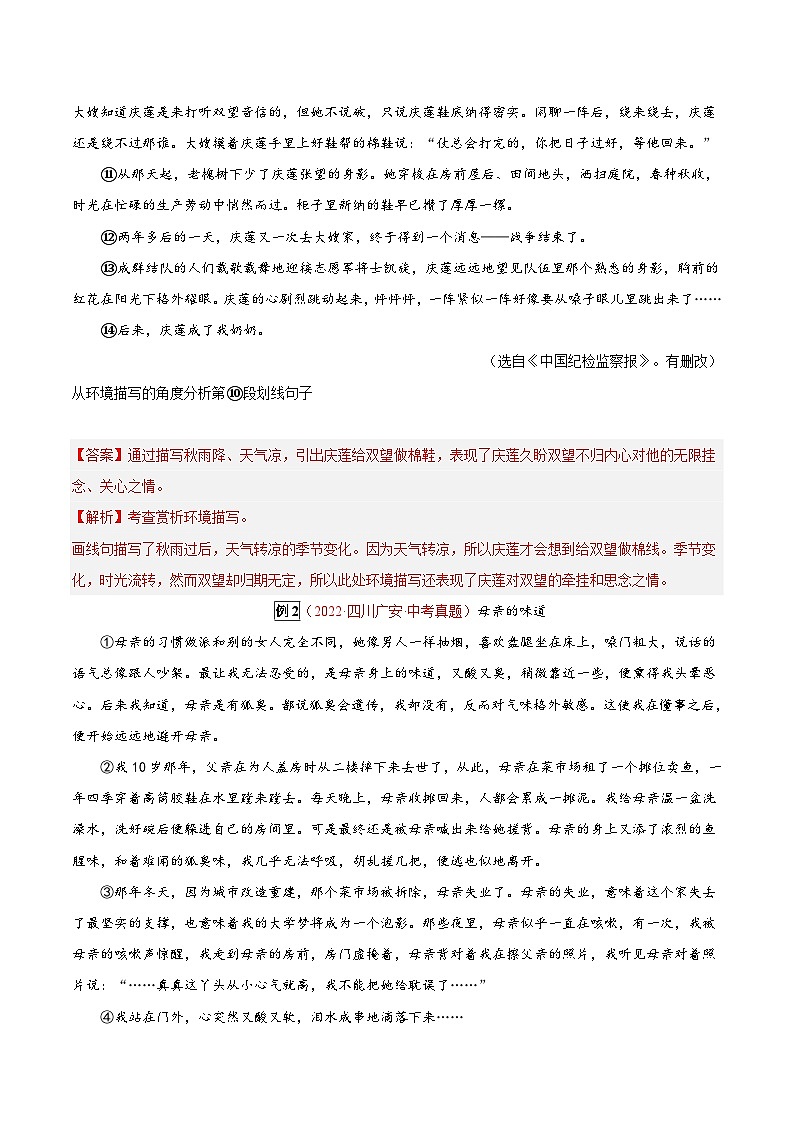 专题15 记叙文阅读之环境描写-2023年中考总复习真题探究与变式训练(全国通用)(解析版)第3页