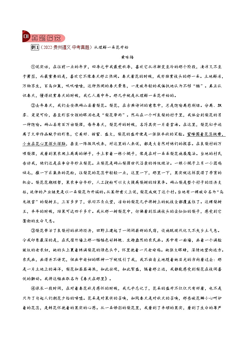 专题19 记叙文阅读之语言表达效果-2023年中考总复习真题探究与变式训练(全国通用)(原卷版)第2页