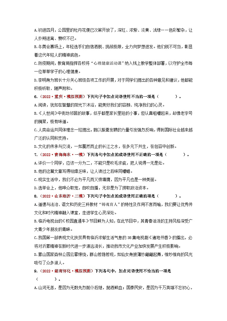中考语文一轮大单元复习考点二 词语的理解与运用——模拟提升(原卷版+解析)第2页