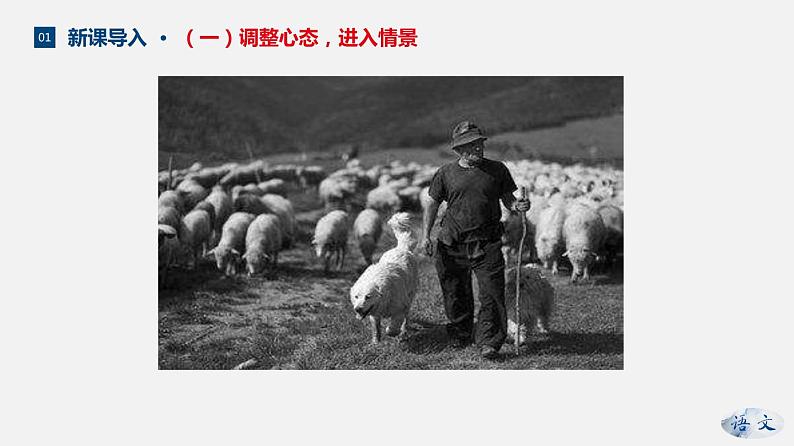 (上课课件)人教版七年级上册语文13《植树的牧羊人》 (3)04
