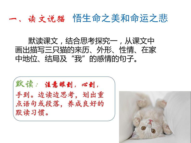 (上课课件)人教版七年级上册语文16《猫》 (3)06