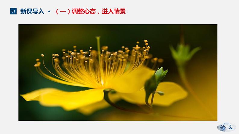 (上课课件)人教版七年级上册语文7《散文诗二首》 (3)04