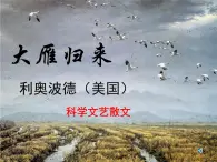 （教案课件 ）人教版八年级下册语文同步教案：7《大雁归来》