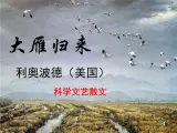 （教案课件 ）人教版八年级下册语文同步教案：7《大雁归来》