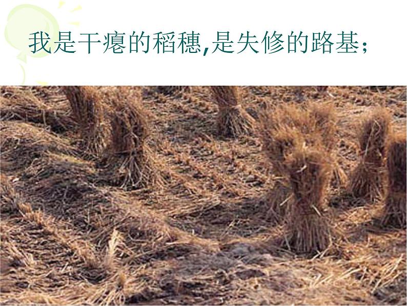(教案课件)人教版九年级下册语文同步教案:1《 祖国啊,我亲爱的祖国》第5页