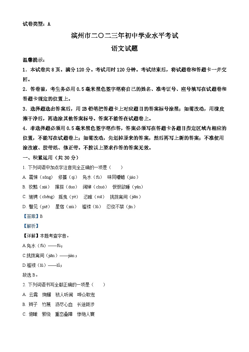 2023年山东省滨州市中考语文真题(含解析)01