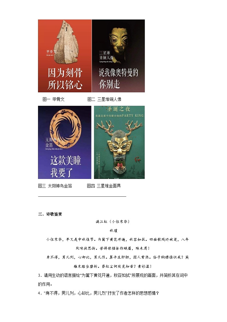 中考语文一轮复习九年级下册基础试题(九)第2页