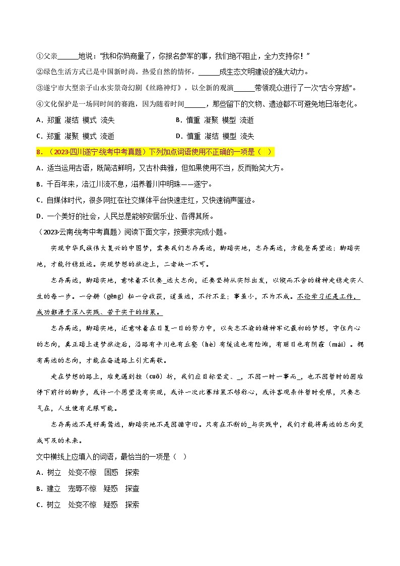 第2关:词语及惯用语(原卷版)-2024年中考语文一轮复习题型专练第2页