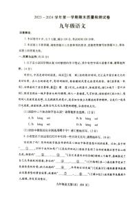 河南省平顶山市叶县2023-2024学年九年级上学期1月期末语文试题